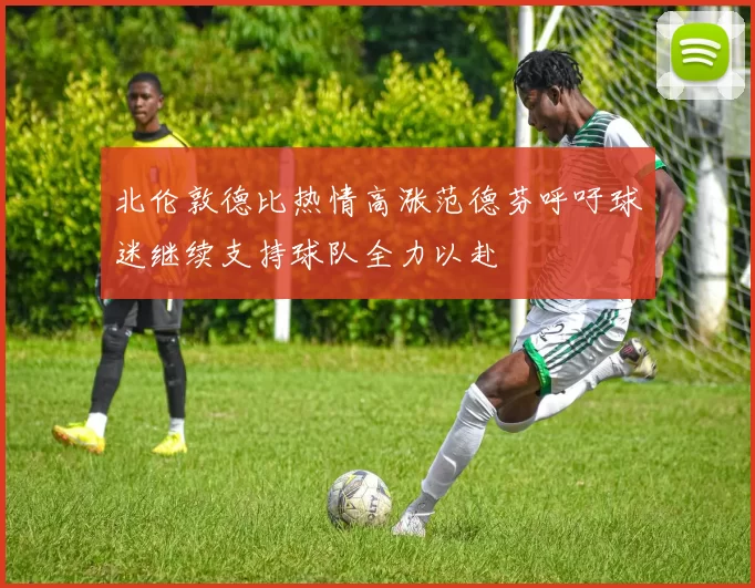 北伦敦德比热情高涨范德芬呼吁球迷继续支持球队全力以赴