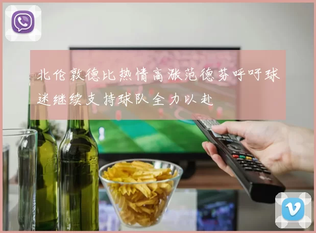北伦敦德比热情高涨范德芬呼吁球迷继续支持球队全力以赴