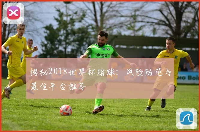 揭秘2018世界杯赌球：风险防范与最佳平台推荐