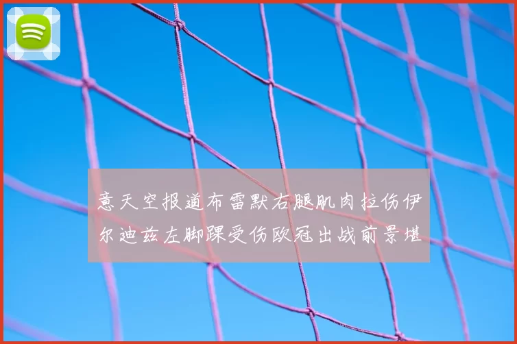意天空报道布雷默右腿肌肉拉伤伊尔迪兹左脚踝受伤欧冠出战前景堪忧