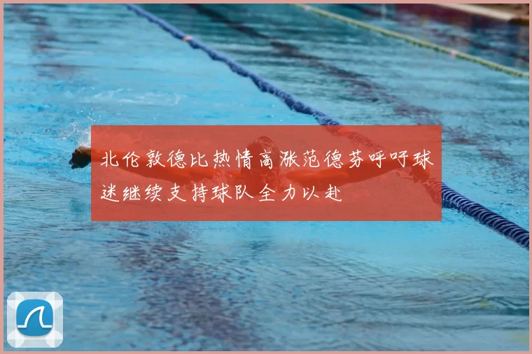 北伦敦德比热情高涨范德芬呼吁球迷继续支持球队全力以赴