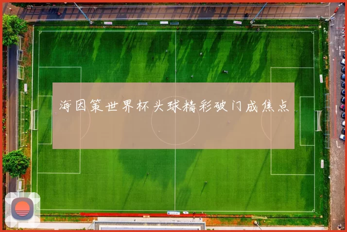 海因策世界杯头球精彩破门成焦点
