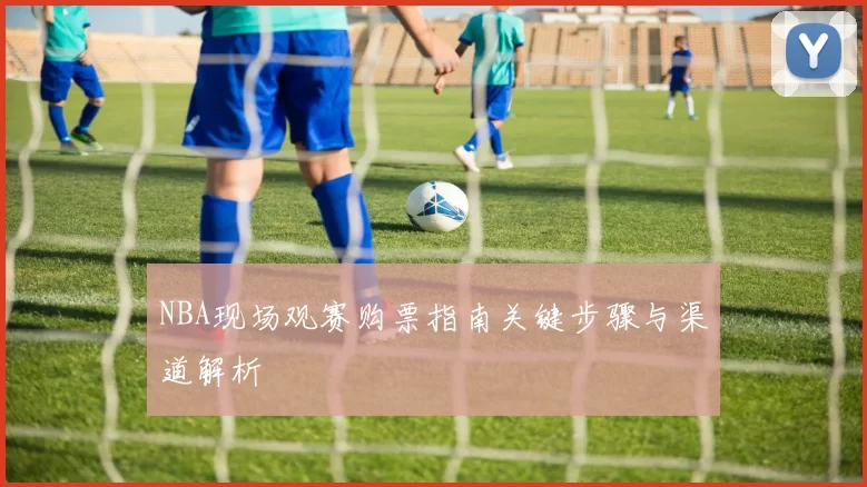 NBA现场观赛购票指南关键步骤与渠道解析