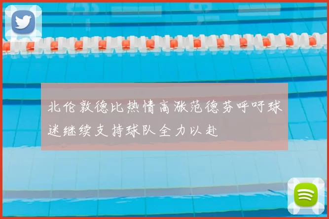 北伦敦德比热情高涨范德芬呼吁球迷继续支持球队全力以赴