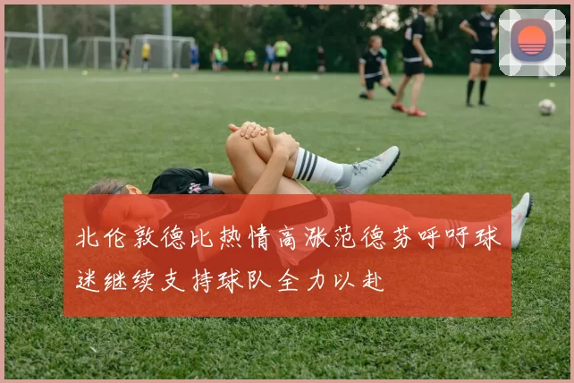 北伦敦德比热情高涨范德芬呼吁球迷继续支持球队全力以赴