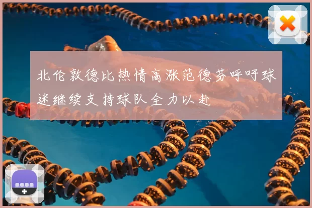 北伦敦德比热情高涨范德芬呼吁球迷继续支持球队全力以赴