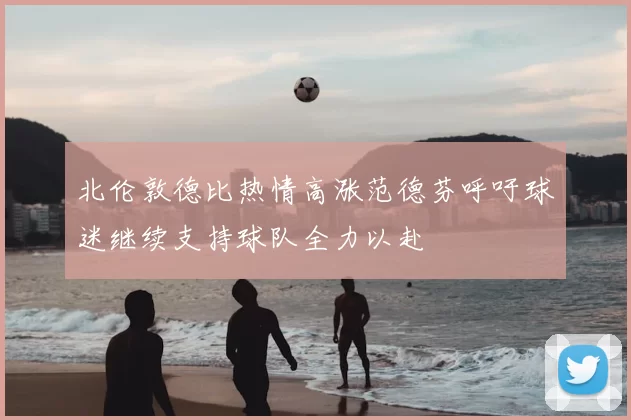 北伦敦德比热情高涨范德芬呼吁球迷继续支持球队全力以赴
