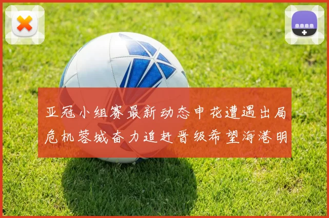 亚冠小组赛最新动态申花遭遇出局危机蓉城奋力追赶晋级希望海港明日迎战挑战