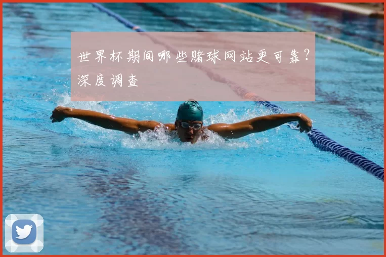 世界杯期间哪些赌球网站更可靠？深度调查