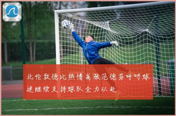 北伦敦德比热情高涨范德芬呼吁球迷继续支持球队全力以赴