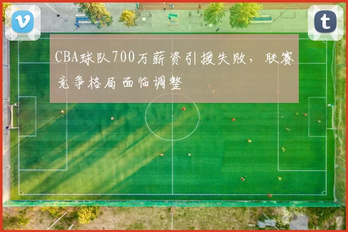 CBA球队700万薪资引援失败,联赛竞争格局面临调整