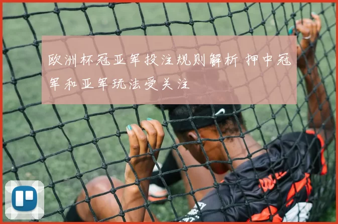 欧洲杯冠亚军投注规则解析 押中冠军和亚军玩法受关注
